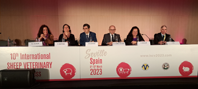 Opening ceremony panel